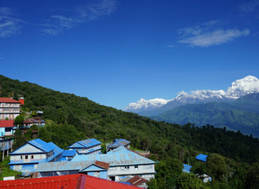 category photo