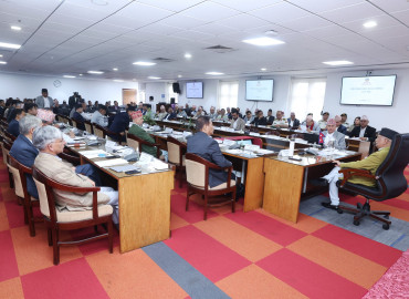 category photo