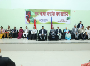category photo
