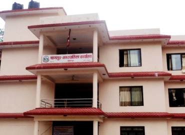 category photo