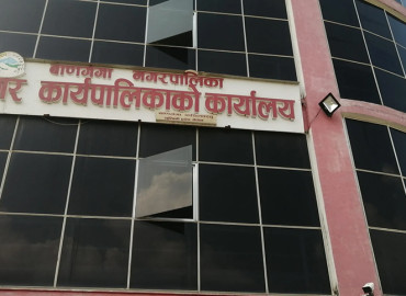 category photo