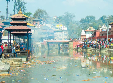 category photo