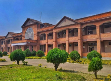 category photo
