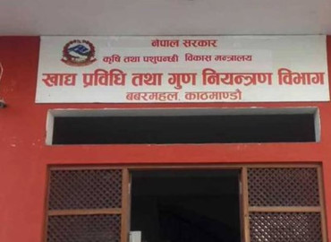 category photo