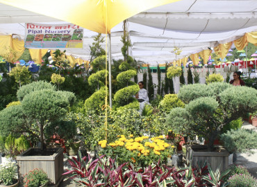 category photo