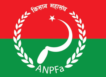 category photo