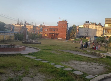 category photo