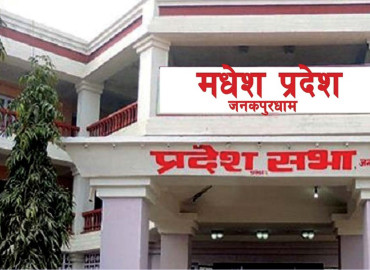 category photo