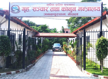 category photo