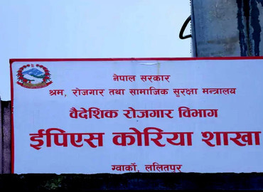 category photo