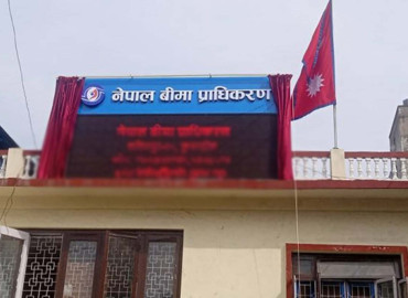 category photo