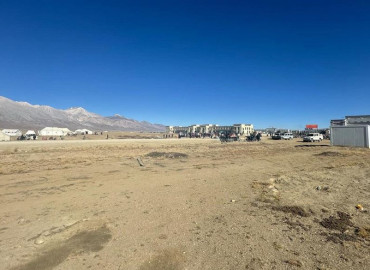category photo