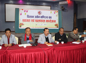category photo
