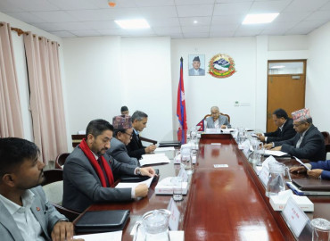category photo