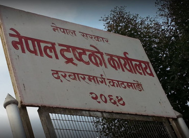 category photo