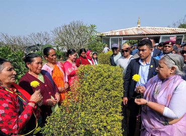 category photo