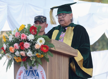 category photo
