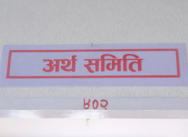 category photo