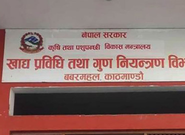 category photo