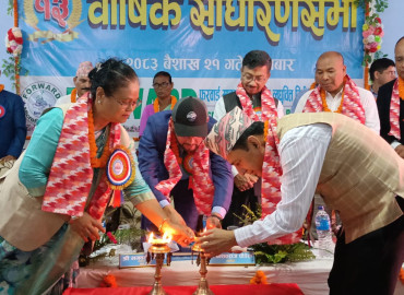 category photo