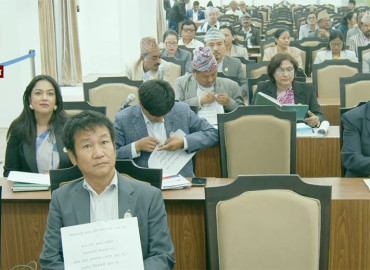 category photo