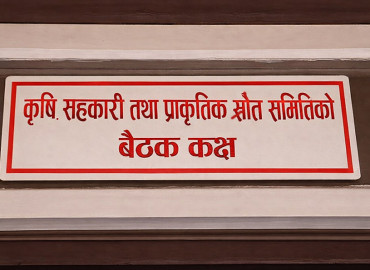 category photo