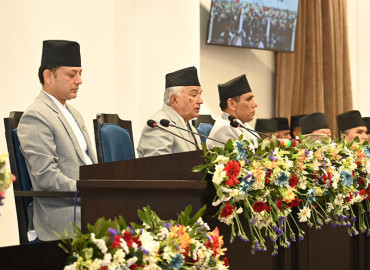 category photo