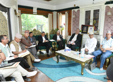 category photo