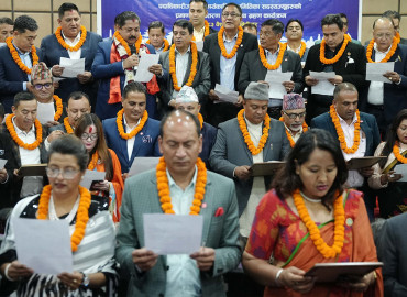 category photo