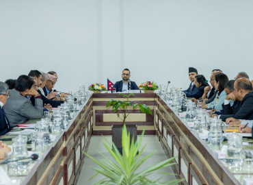 category photo