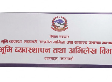 category photo