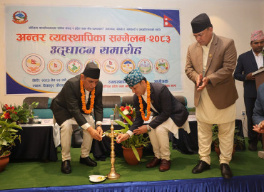 category photo