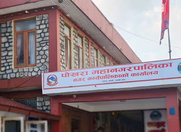 category photo
