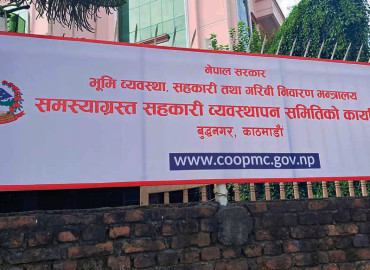 category photo