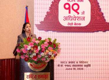 category photo
