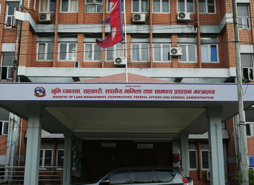 category photo