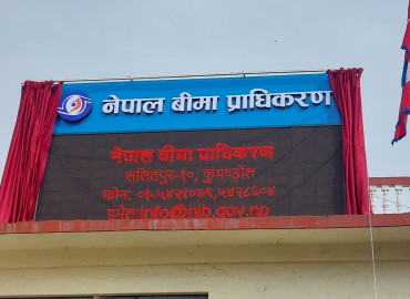 बीमा क्षेत्र संकटमा: आधा दर्जनभन्दा बढी कम्पनी नेतृत्वविहीन