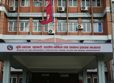 category photo
