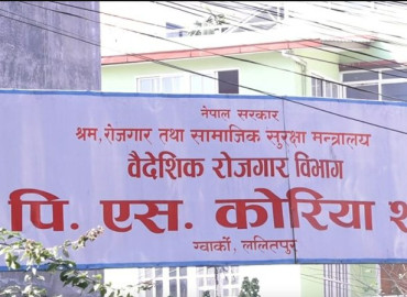category photo
