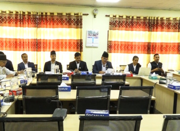 category photo