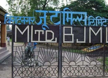 category photo