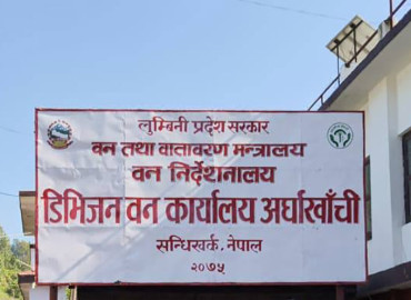 category photo