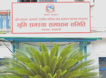 category photo