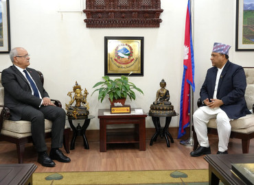 category photo