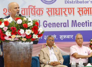 category photo