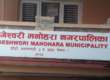 category photo