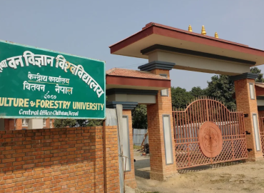 category photo