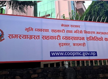 category photo