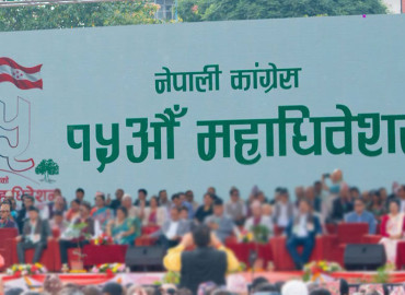 category photo