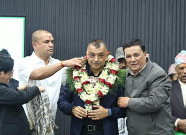 category photo